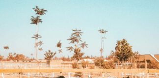 CHARLY JUMPER Quand l’homme et le cheval ne font qu’un Charly Jumper