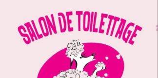 New salon de toilettage « DOG-STYLE » salon de toilettage