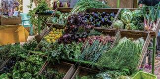 LE SOUK FERMIER ou la rencontre de la santé et de l’écologie souk fermier