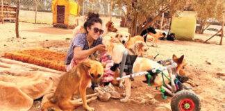 NOS AMIS POUR LA VIE, un paradis tenu par des anges Nos amis pour la vie