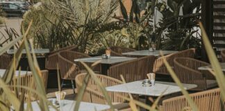 LILI & OLI Brunch coffee lili and oli