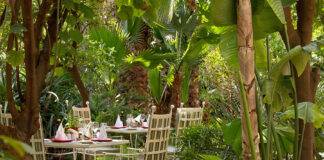 Les Jardins de la Médina