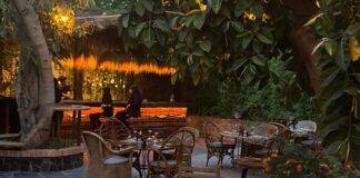 PÉTANQUE SOCIAL CLUB, un lieu unique et secret