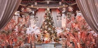 Quelle bûche choisir pour les fêtes ? Noel