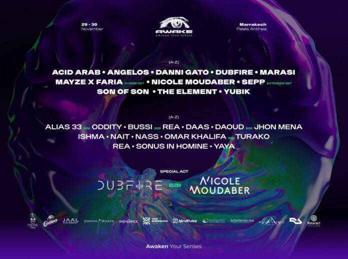 awake festival