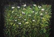 ILIAS SELFATI s’installe à la Galerie Tindouf