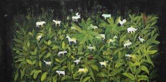 ILIAS SELFATI s’installe à la Galerie Tindouf