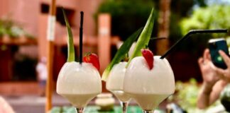 LA BOHÈME, RUE YVES SAINT LAURENT La bohème, rue Yves Saint Laurent