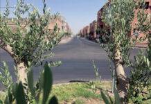 Sidi Ghanem : Dernières métamorphoses