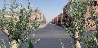 Sidi Ghanem : Dernières métamorphoses