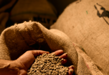 Café de spécialité : Pourquoi vous ne boirez plus jamais votre café comme avant