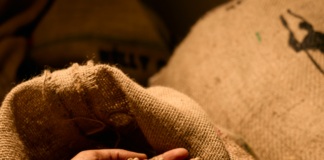 Café de spécialité : Pourquoi vous ne boirez plus jamais votre café comme avant