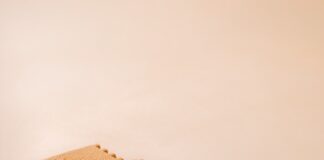 Terra Mia : la Bûche signature et ses déclinaisons gourmandes