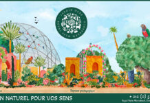 Jardin Ocre : L’échappée verte, technologique et gourmande du Royal Palm