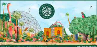 Jardin Ocre : L’échappée verte, technologique et gourmande du Royal Palm