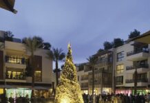 M Avenue revêt ses habits de lumière : Une balade féérique au cœur de Marrakech