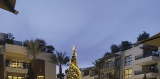 M Avenue revêt ses habits de lumière : Une balade féérique au cœur de Marrakech