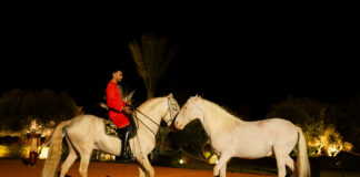 Selman Marrakech : L’Iftar au rythme des pur-sang Selman ftour ramadan