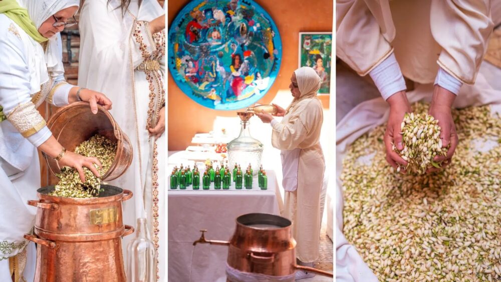 La Zahria, quand Marrakech distille le printemps