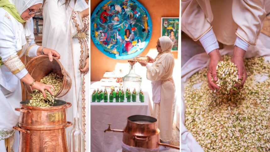 La Zahria, quand Marrakech distille le printemps