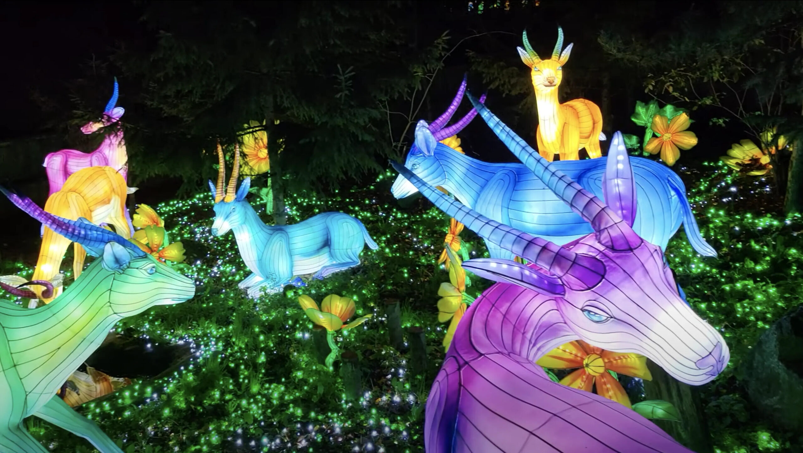Magic Garden Festival Marrakech 2026 : dates, lieu et billets