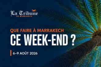 Palmier vu du dessous sur fond bleu nuit, visuel de la sélection week-end du 6 au 9 août 2026 de La Tribune de Marrakech
