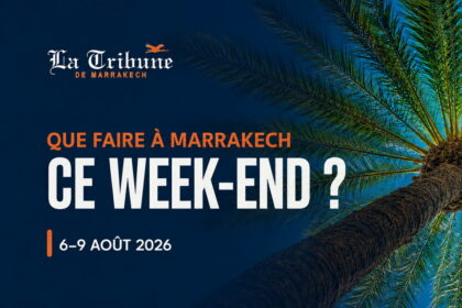 Palmier vu du dessous sur fond bleu nuit, visuel de la sélection week-end du 6 au 9 août 2026 de La Tribune de Marrakech