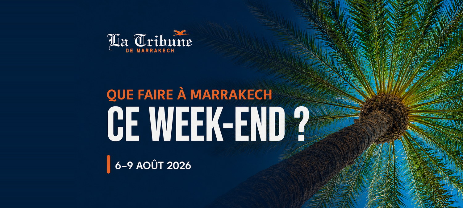 Palmier vu du dessous sur fond bleu nuit, visuel de la sélection week-end du 6 au 9 août 2026 de La Tribune de Marrakech